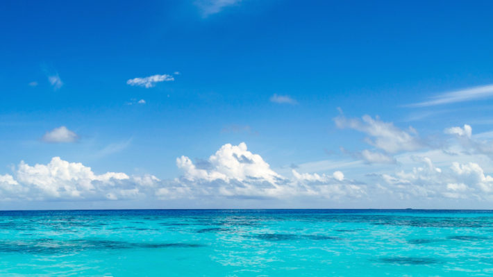 panorama of wild tropical Caribbean coast